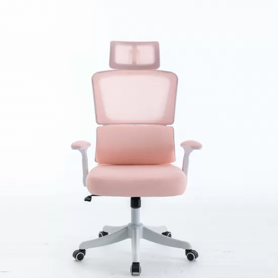 Mesh Office Chair OS100